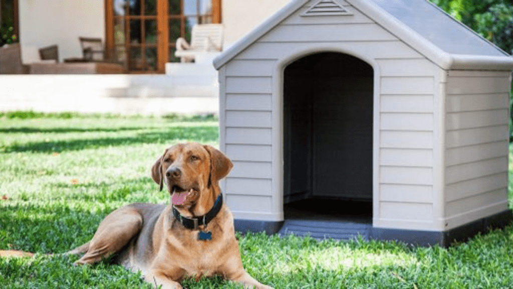 casas-madera-para-perros