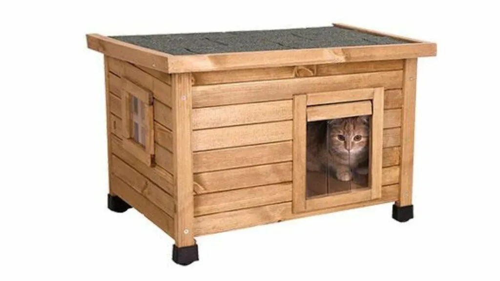 caseta-para-gatos
